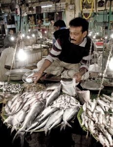 south kolkata area list - lake market
