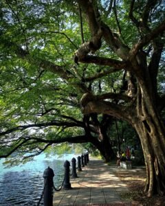 Rabindra Sarobar Lake